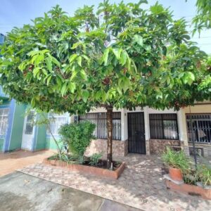 Casa en venta Flandes, Tolima - Rentas cortas